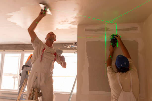 Biohazard Mold Removal in Circle D Kc Estates, TX