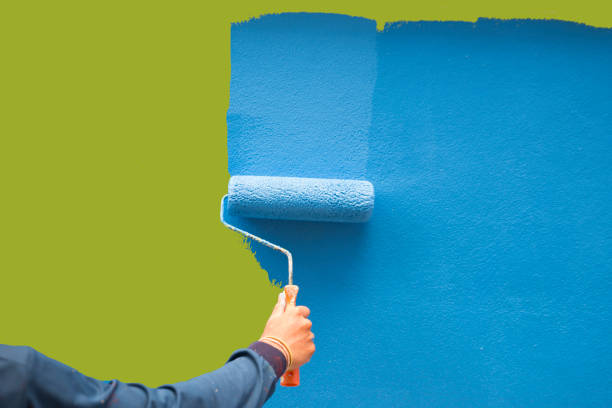 Best Comprehensive Air Testing for Mold Contaminants  in Circle D Kc Estates, TX